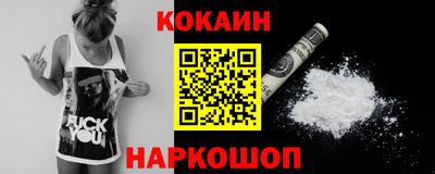 крисы Новокубанск