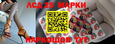 крисы Новокубанск