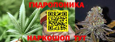 сатива Новозыбков