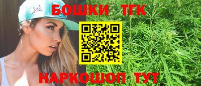 сатива Новозыбков