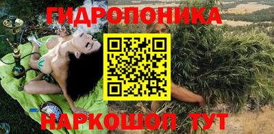 крисы Новокубанск