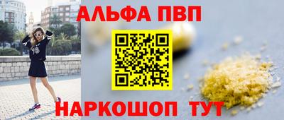 сатива Новозыбков