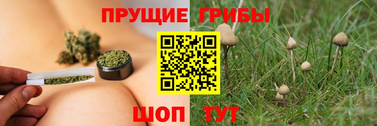Березники  Псилоцибиновые грибы мухоморы  Псилоцибиновые грибы ЛСД  дарнет шоп  Вход с VPN 